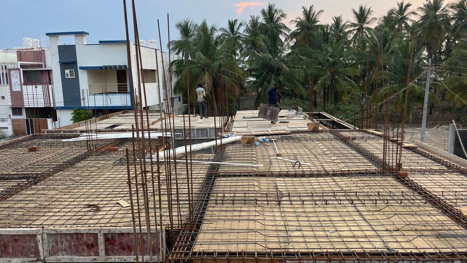 Slab reinforcement mesh across the full floor, neighbouring houses and palms behind